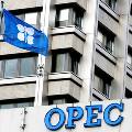 Глава ОПЕК обещает стабилизацию цен на нефть в следующем году